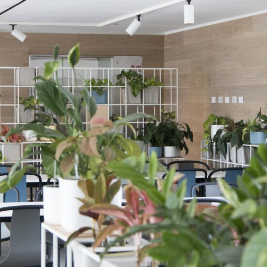 import blog slider mystone effetto pietra studio mallol 12