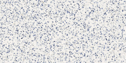 marazzi frammento mn13.jpg
