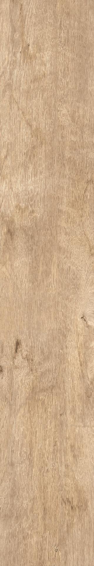 marazzi treverkdear mzue.jpg