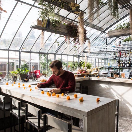 marazzi serre dei giardini margherita 010.jpg